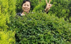 秘乐短视频免费下载